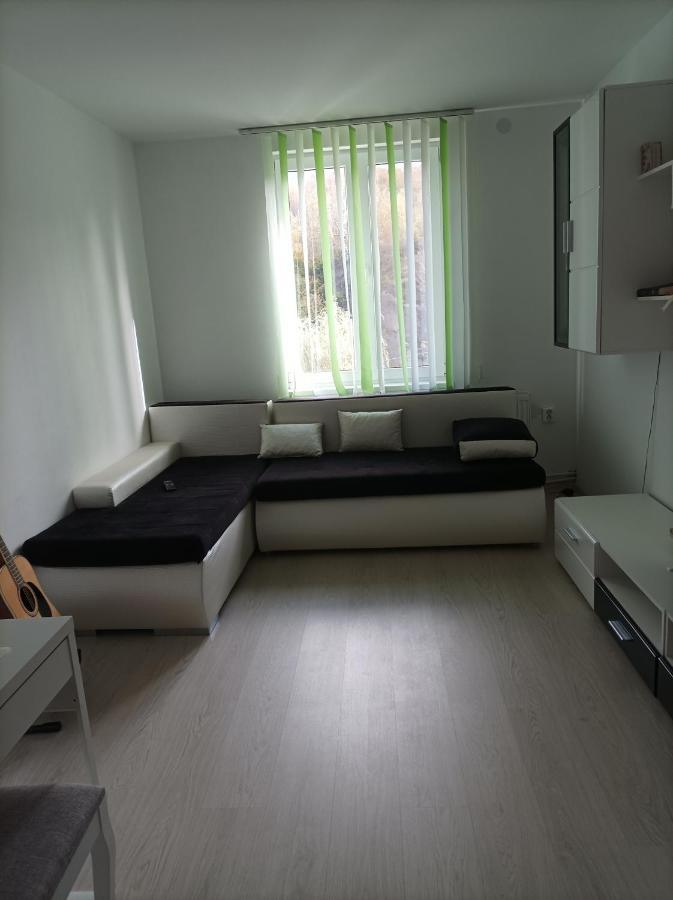 Apartament Doua Camere Uricani  외부 사진