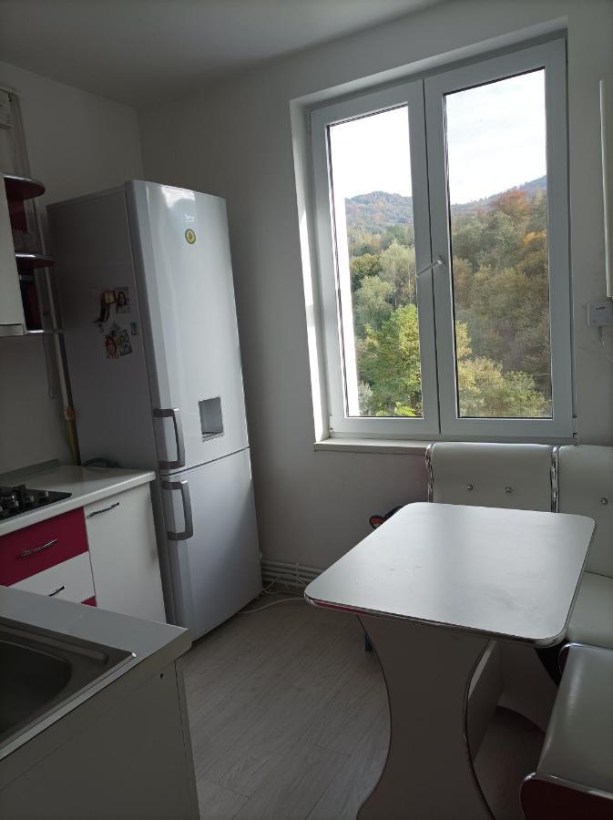 Apartament Doua Camere Uricani  외부 사진